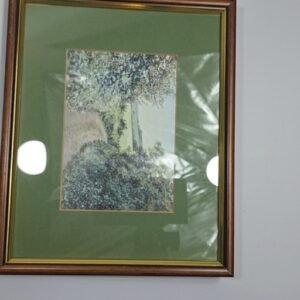 لوحة فنية مؤطرة لمنظر طبيعي